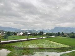 -黄牛肉馆·皖南土菜