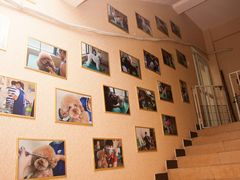 上课实景-优缇多格专业宠物美容师培训学校