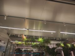 -老乡鸡(上海白玉兰广场店)