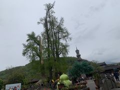 -崇州市街子古镇