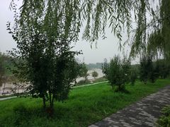 -洨河生态公园