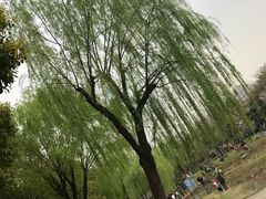 -堤角公园