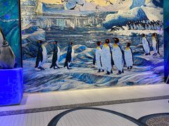 -帝企鹅自助餐厅•儿童岛•真企鹅(长隆企鹅酒店)