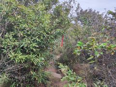 -树山生态村