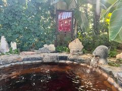 -中家鑫园温泉酒店鑫悦汤泉