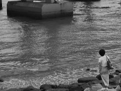 -宝安西湾红树林湿地公园