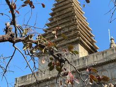 -北京石刻艺术博物馆(五塔寺)