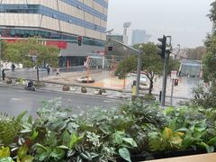 -Peet's Coffee皮爷咖啡(大学路店)