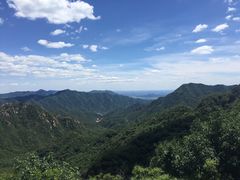 -大岭沟猕猴桃谷风景区