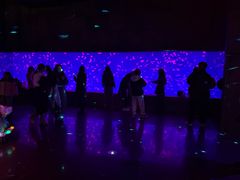 -哈尔滨波塞冬海底世界