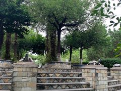 -广州神农草堂中医药博物馆