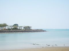-万绿园