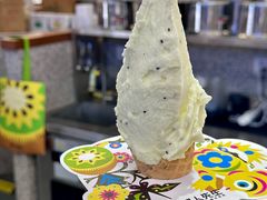 -野人先生Gelato(上海长宁龙之梦店)