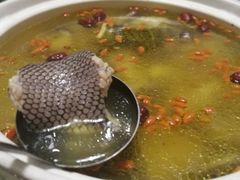 -金龙·打边炉(武进路店)