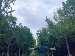 -苏州河梦清园环保主题公园