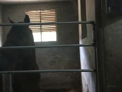 -枫露马术学院(藏书校区)