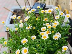 -Rabbit Cafe私房西餐甜点咖啡(栖霞路店)