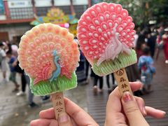 -西双版纳原始森林公园