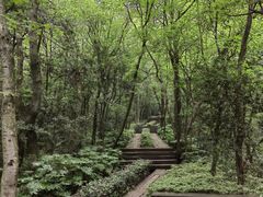 -杭州半山国家森林公园