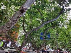 -永华米粉(总店)