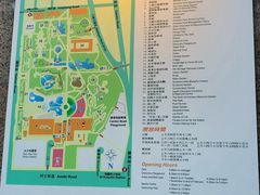 -九龙公园