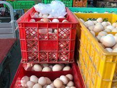 -韩家墅海吉星农产品批发市场