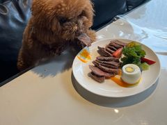 -百好乐宠物友好餐厅(朝外大街店)