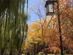 -迎泽公园