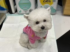 -Oh My Dog宠物沙龙(伊珊娜皮毛护理店)