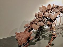 -大连自然博物馆·地球展厅