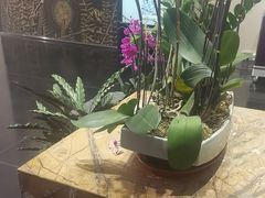 -黔蘑菇四季餐厅(观山湖店)