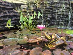 -国家植物园南园