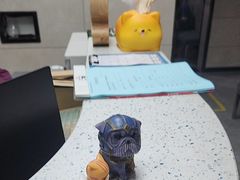 -半岛宠物医院24小时(白果林店)