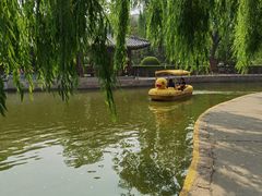 -团结湖公园