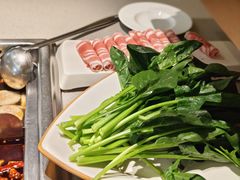 -海底捞火锅(吾悦广场店)