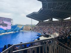 -上海海昌海洋公园