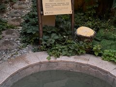 -汤山一号温泉度假区