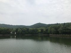 -旺山景区