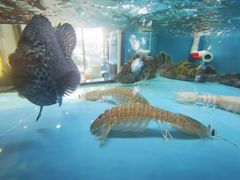 -悦林汤馆(观海店)