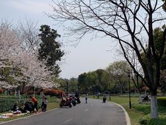 -杭州城北体育公园