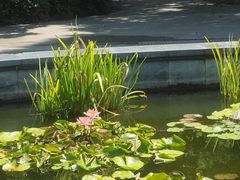 -上海滨江森林公园