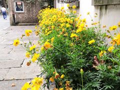 -院子餐厅·大锅菜·老杭帮(桥西直街店)