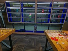 -鲸渝眼镜·浅目视光(春熙路店)
