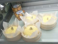 -林记开心动物奶油生日蛋糕(凤凰城店)