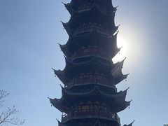 -龙华素斋(龙华路店)