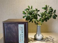 -青竺·青竹茶舍(断桥店)