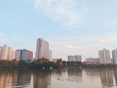 -黄兴公园