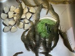 -鸿港海鲜批发市场