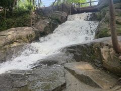 -浮槎山