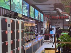 -都市枪神实弹射击俱乐部